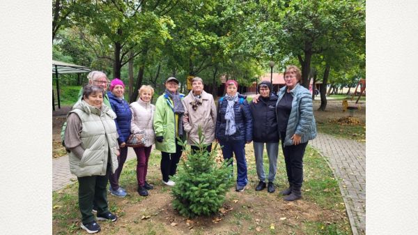 Társadalmi munkát végeztek a beledi nyugdíjasok.