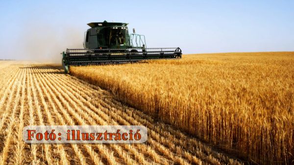 Indul az aratási szezon - katasztrófavédelmi tájékoztató