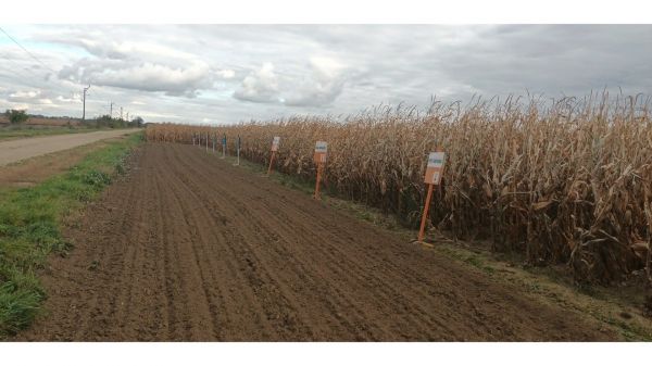 Őszi munkák a Csukás Zoltán Mezőgazdasági Technikumban